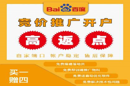 行业案例分析：sem账户托管的成功与挑战