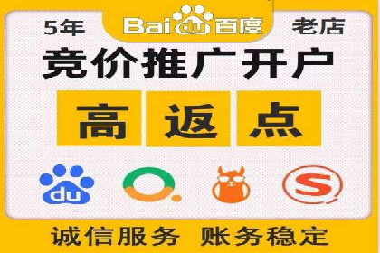 搜索引擎营销（SEM）成功案例详解
